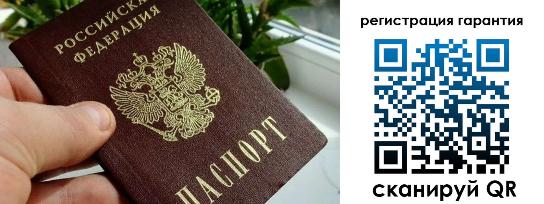 временная регистрация надежно в Орехово-Зуево